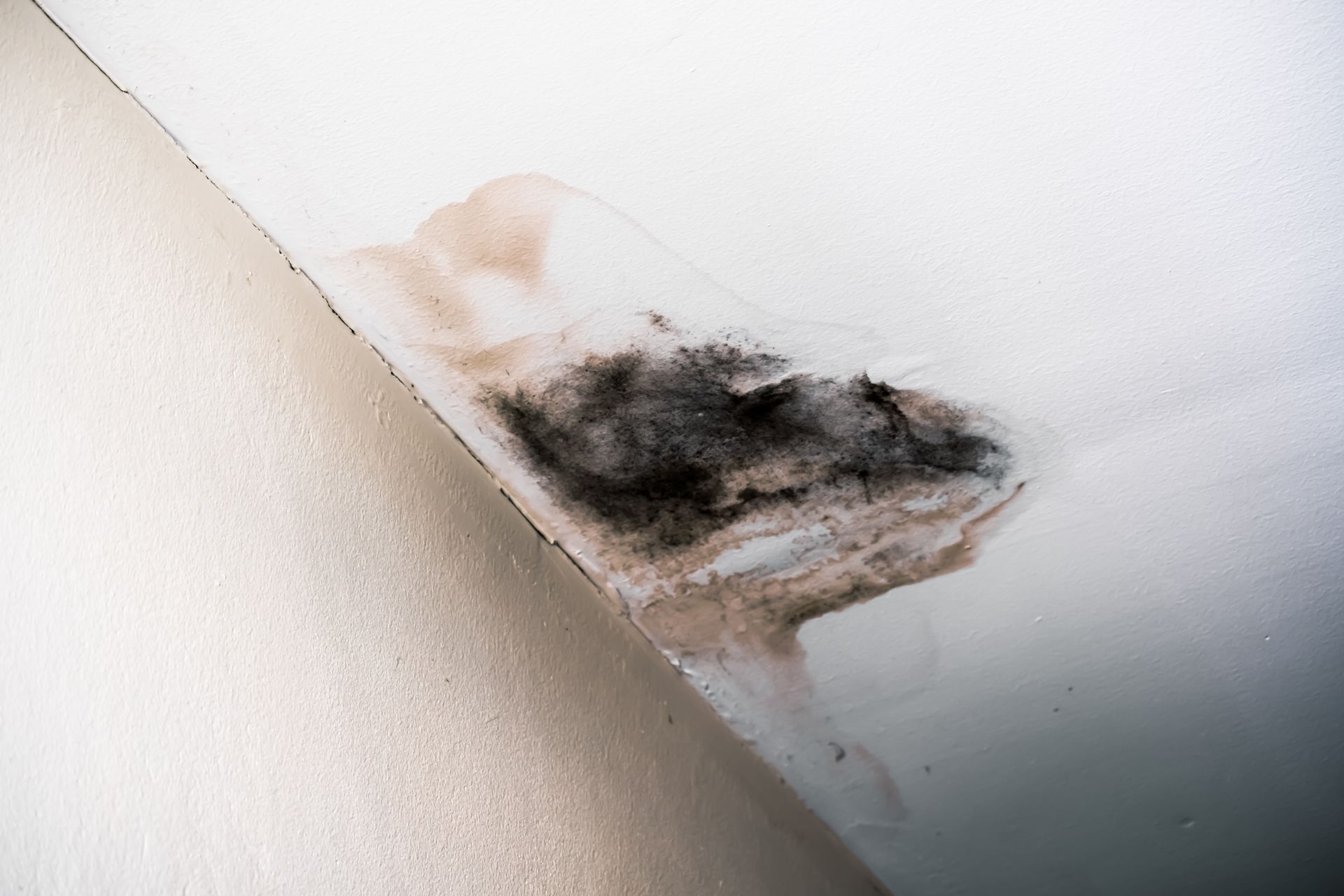 Asbestos Abatement — Hathaway Environmental in Solon, OH Asbestos Abatement — Hathaway Environmental in Solon, OH